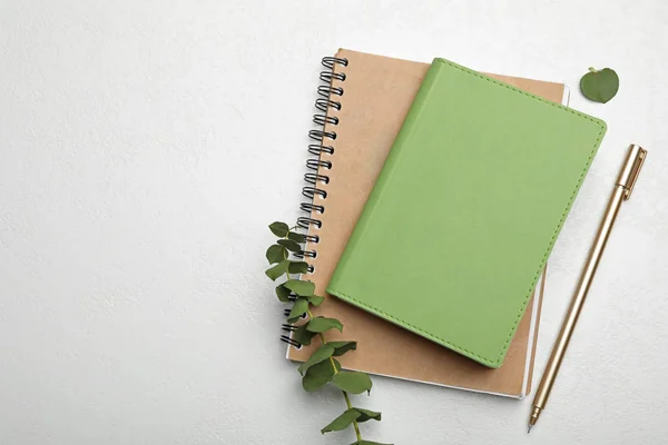 Carnets élégants, stylo et branche sur table blanche, plan plat. Spac — Photo