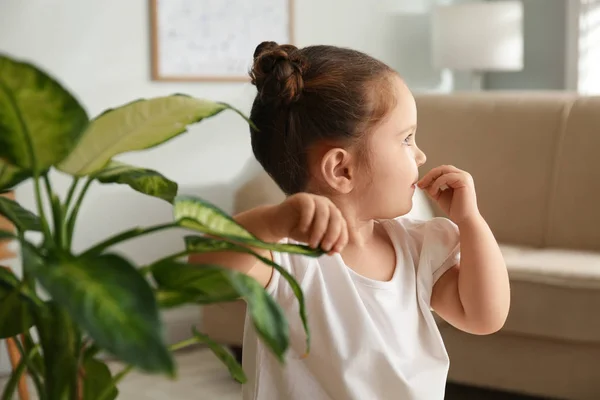 Liten Flicka Leker Med Krukväxt Hemma — Stockfoto