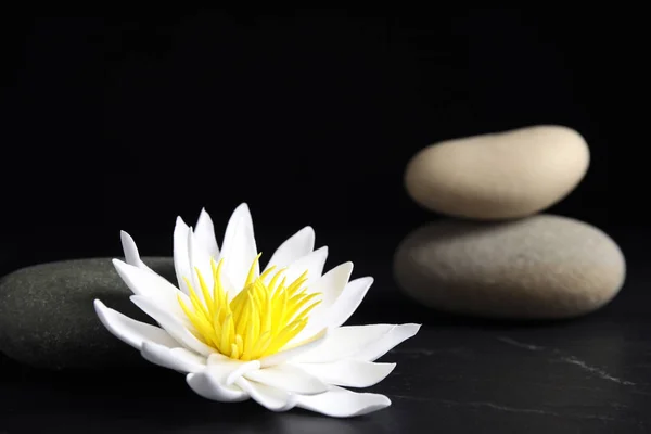 Stenar Och Lotusblomma Svart Bord Zen Livsstil — Stockfoto