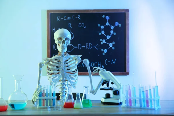 Esqueleto Diferentes Produtos Químicos Vidro Sala Aula Tonificados Azul — Fotografia de Stock