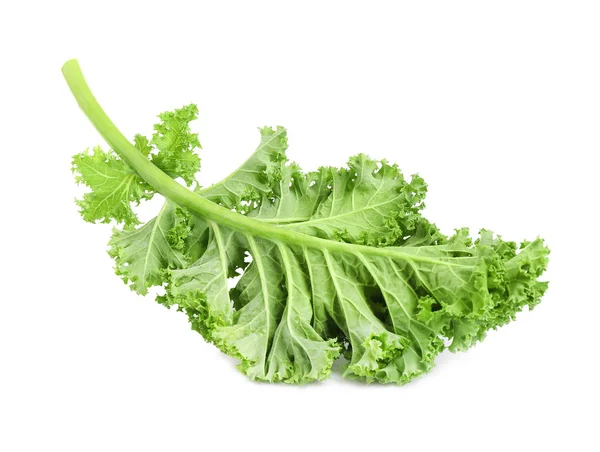 Fresh green kale leaf isolated on white — 스톡 사진