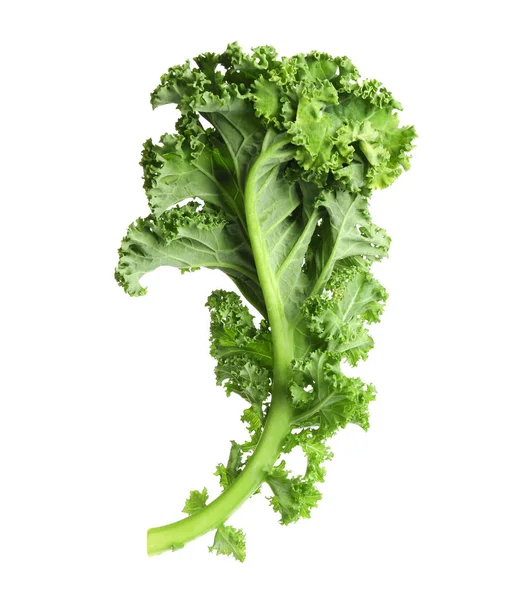 Fresh green kale leaf isolated on white — 스톡 사진