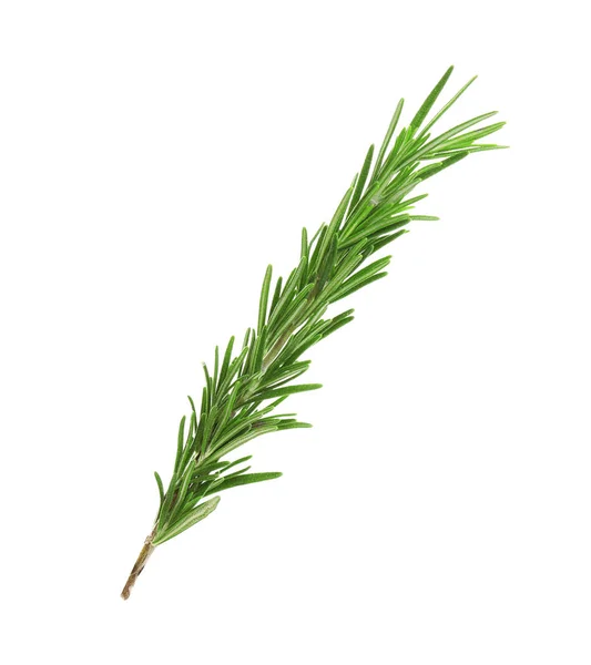 Fresh green rosemary isolated on white. Aromatic herb — 스톡 사진