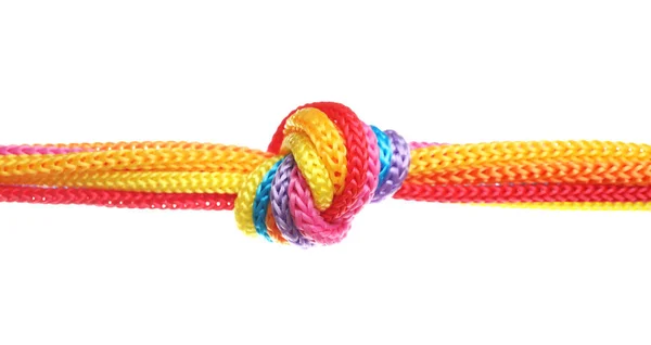 Colorful Ropes Tied Together Knot Isolated White Unity Concept — Stock Photo, Image