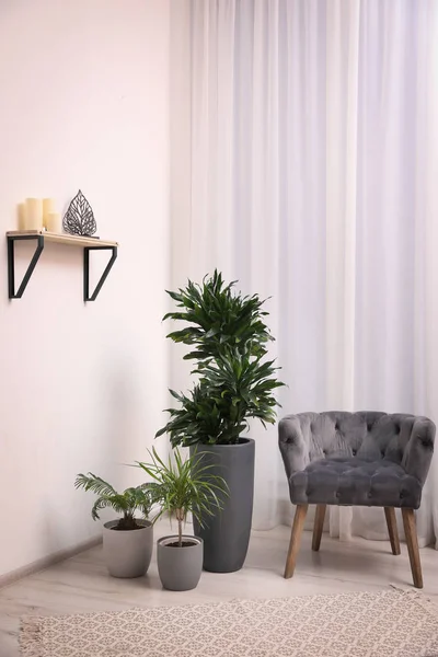 Стильный Интерьер Комнаты Красивыми Растениями Удобным Креслом — стоковое фото