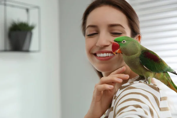 Young woman with cute Alexandrine parakeet indoors — 스톡 사진