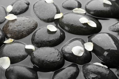 Suyun içinde çiçek yaprakları olan spa taşları. Zen yaşam tarzı