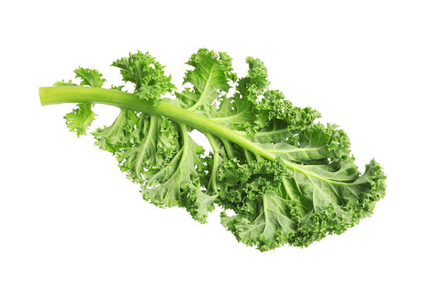 Fresh green kale leaf isolated on white