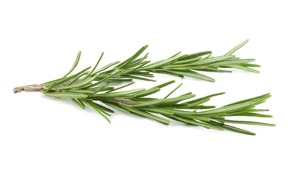 Verse groene rozemarijn geïsoleerd op wit. Aromatische kruid — Stockfoto