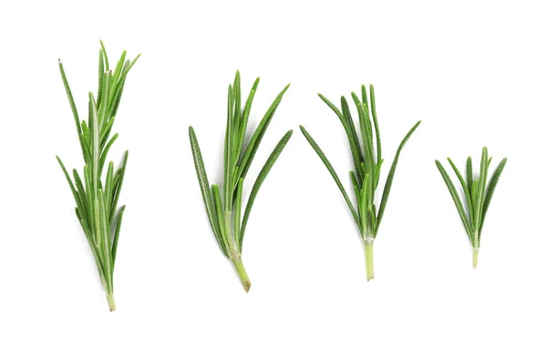 Fresh green rosemary isolated on white, top view. Aromatic herb — Stock Photo, Image