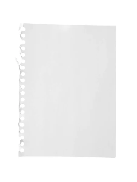 Papel de caderno em branco isolado sobre branco. Espaço para design — Fotografia de Stock