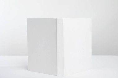 Beyaz arka plan üzerinde boş kapaklı kitap