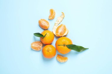 Düz kompozisyonda taze mandalinalar ve açık mavi arka planda yapraklar vardı. Citrus meyvesi.