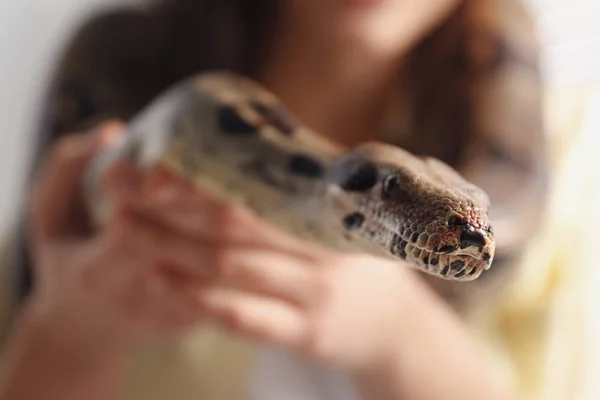 Frau mit ihrer Boa Constrictor zu Hause, Nahaufnahme. Exotisches Haustier — Stockfoto