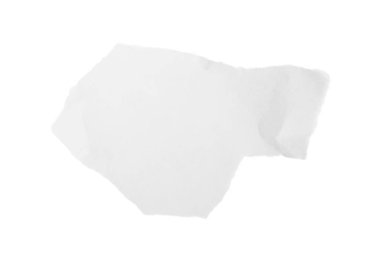 Beyaza izole edilmiş boş bir defter kağıdı parçası. Desenleme için boşluk