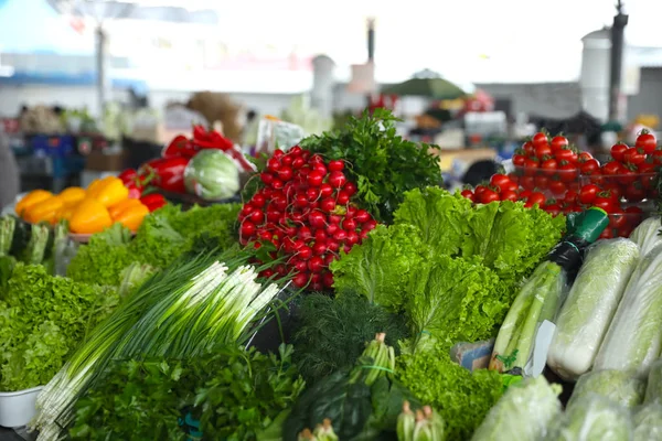 Fresh Ripe Vegetables Herbs Counter Wholesale Market — Stock Photo, Image