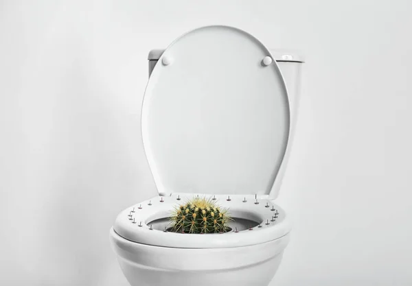 Toiletpot Met Pinnen Cactus Witte Achtergrond Hemorroïden Concept — Stockfoto