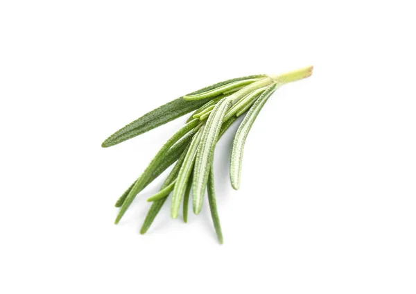 Rosmarino verde fresco isolato su bianco. Erba aromatica — Foto Stock