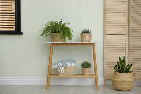 Houseplants in wicker pots indoors. Interior design — 스톡 사진