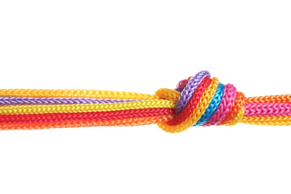 Colorful Ropes Tied Together Knot Isolated White Unity Concept — 스톡 사진