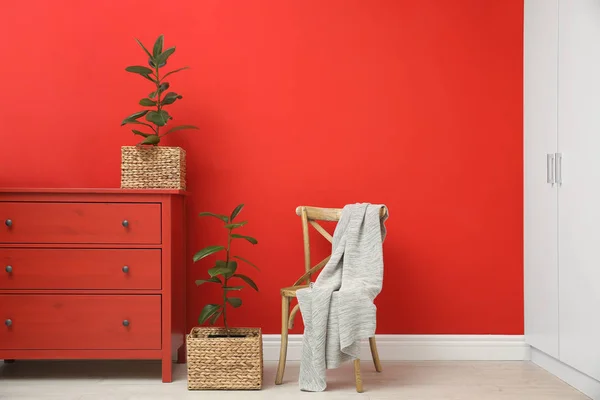Tropische planten in rieten potten bij rode muur thuis — Stockfoto
