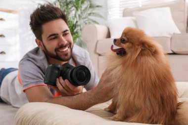 Profesyonel hayvan fotoğrafçısı evde güzel Pomeranya köpeğinin resmini çekiyor.
