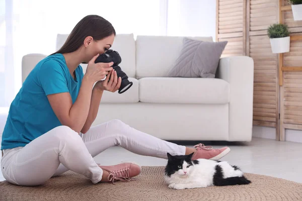 Profesionální Zvířecí Fotograf Fotografování Krásné Kočky Doma — Stock fotografie
