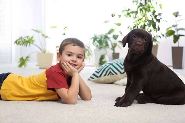 Menino com filhote no chão em casa. Cão amigável — Fotografia de Stock