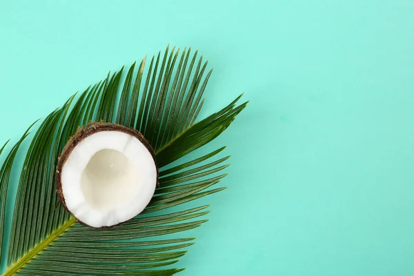 Hälften Mogen Kokos Och Palm Gren Turkos Bakgrund Ovanifrån Plats — Stockfoto