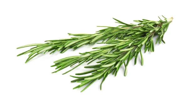 Rosemary verde fresco isolado no branco. Erva aromática — Fotografia de Stock