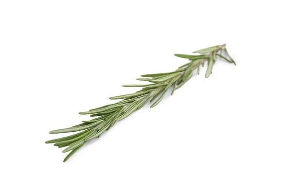 Rozmarin verde proaspăt izolat pe alb. Planta aromatică — Fotografie, imagine de stoc