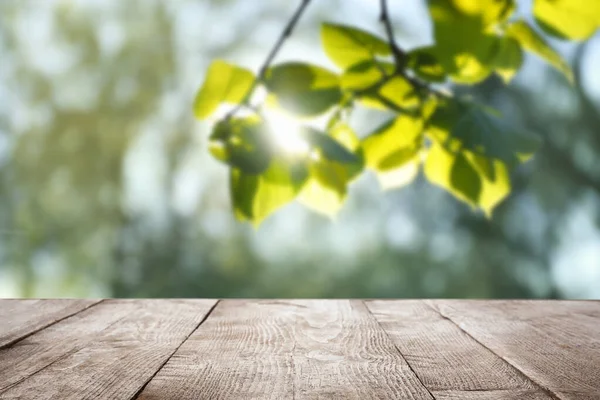 Prázdný Dřevěný Povrch Rozmazaném Zeleném Pozadí Slunečné Ráno — Stock fotografie