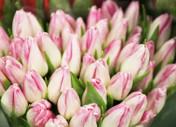 Bouquet Frais Belles Fleurs Tulipes Gros Plan — Photo