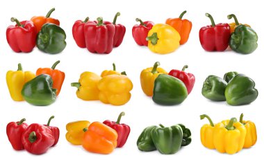 Beyaz arka planda farklı olgun dolmalık biberler.