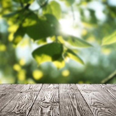 Bulanık yeşil arka planda boş ahşap yüzey. Güneşli sabah 