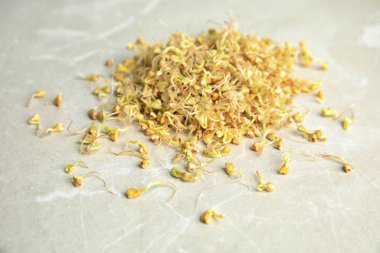 Işık masasında filizlenmiş yeşil karabuğday yığını, yakın plan