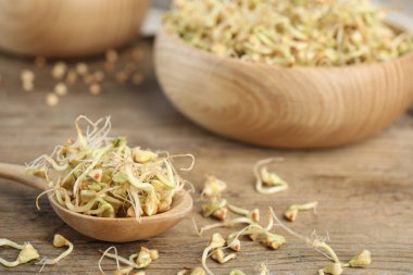 Tahta masada filizlenmiş bir kaşık yeşil karabuğday, yakın plan.