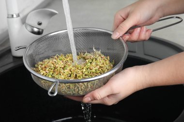 Lavabonun üzerinde filizlenmiş yeşil karabuğday yıkayan kadın, yakın plan.