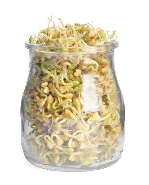 Tarro de trigo sarraceno verde germinado aislado sobre blanco — Foto de Stock