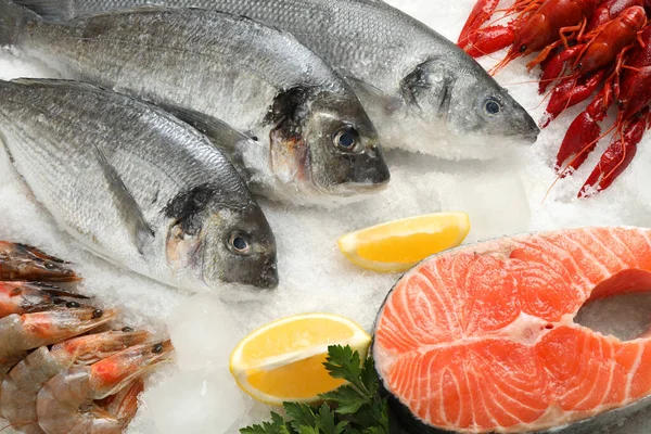 Fresh Fish Different Seafood Ice — Stock Photo, Image