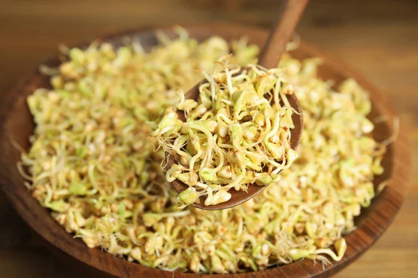 Wooden Spoon Sprouted Green Buckwheat Plate Closeup — Stock Photo, Image