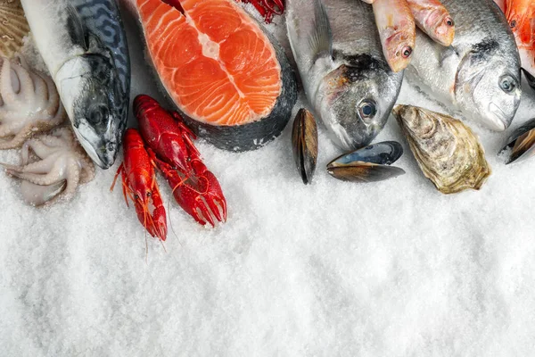 Peixe Fresco Frutos Mar Gelo Deitado Plano Espaço Para Texto — Fotografia de Stock