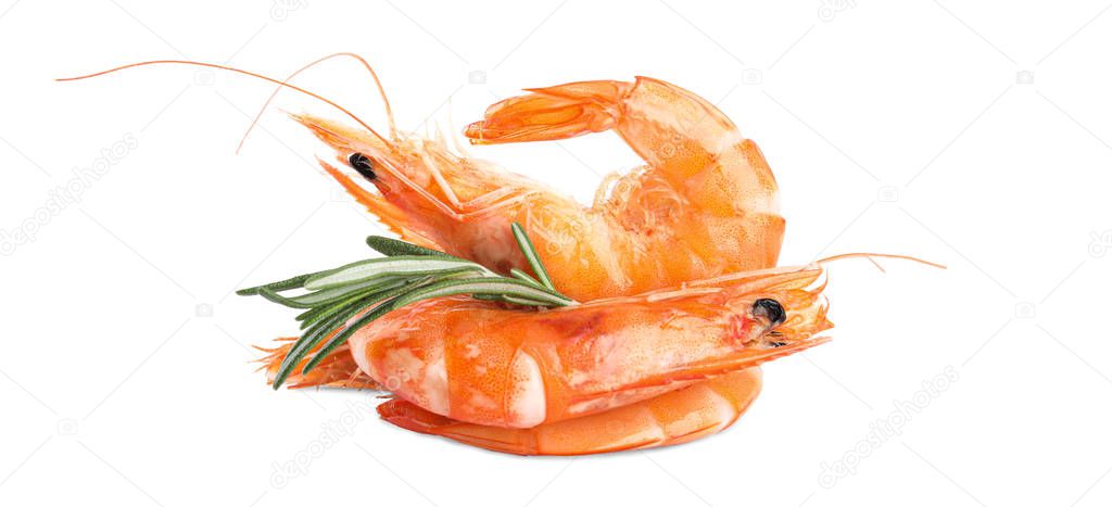 Delicious cooked shrimps and rosemary isolated on white