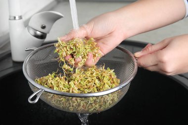 Lavabonun üzerinde filizlenmiş yeşil karabuğday yıkayan kadın, yakın plan.