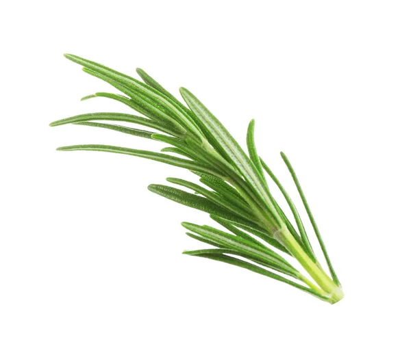 Verse groene rozemarijn geïsoleerd op wit. Aromatische kruid — Stockfoto