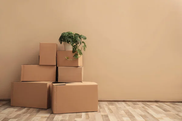 Pile Cardboard Boxes Houseplant Beige Wall Space Text Moving Day — Stock Photo, Image