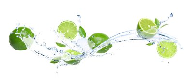 Aloe Vera dilimler beyaz arka plan üzerinde