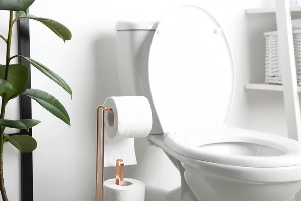 Holder Paper Rolls Toilet Bowl Bathroom — Stock Photo, Image