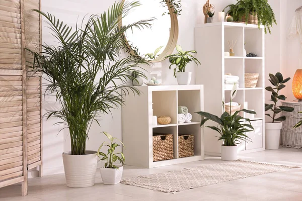 Elegant interior of modern bathroom with green plants — Stock Photo, Image