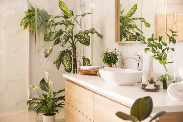 Beautiful green plants in elegant modern bathroom. Interior desi — Stock Photo, Image